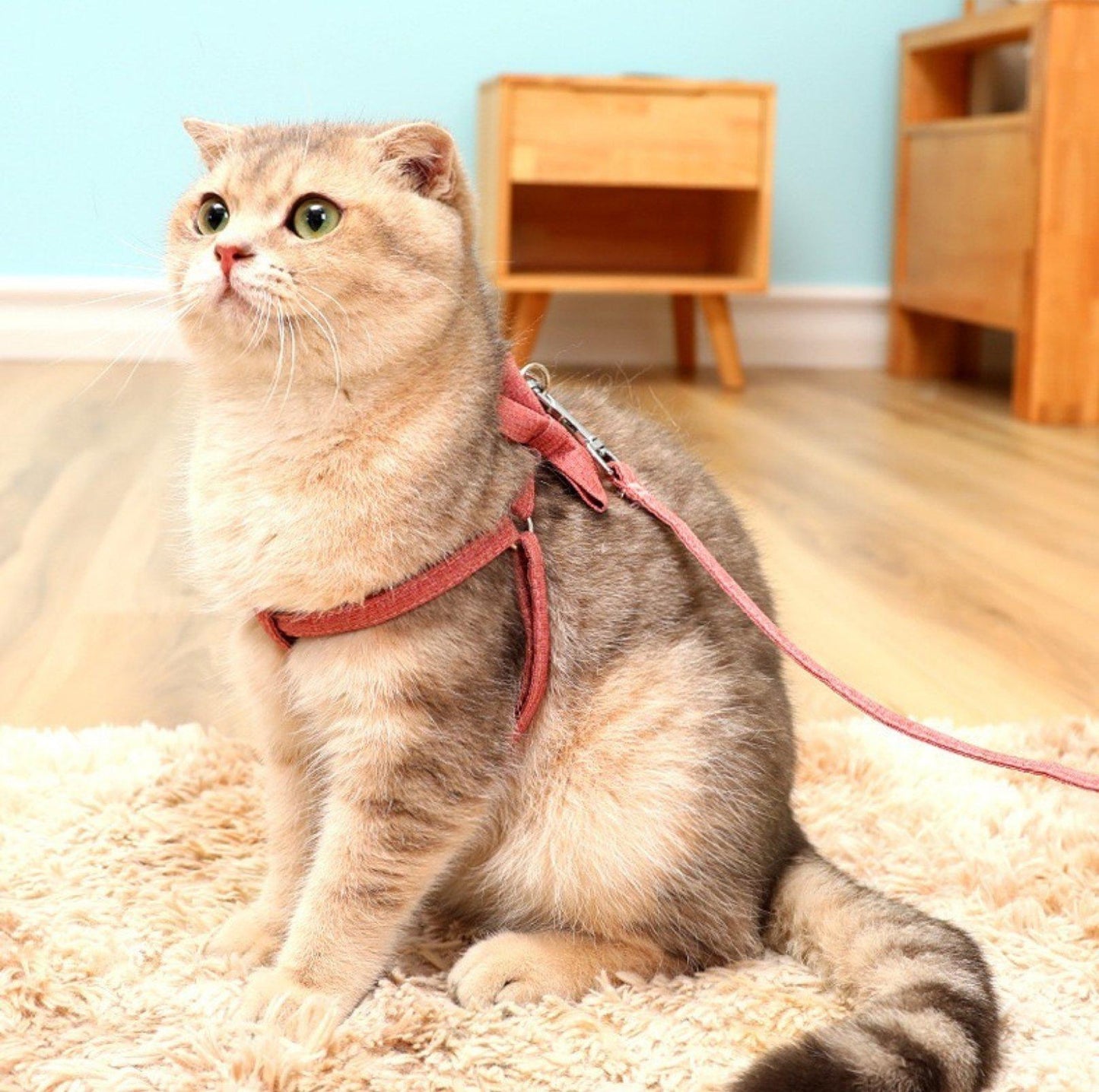 Plain Bow Style Harness for Small and Medium Pets - {{product.type}} - PawPawUp