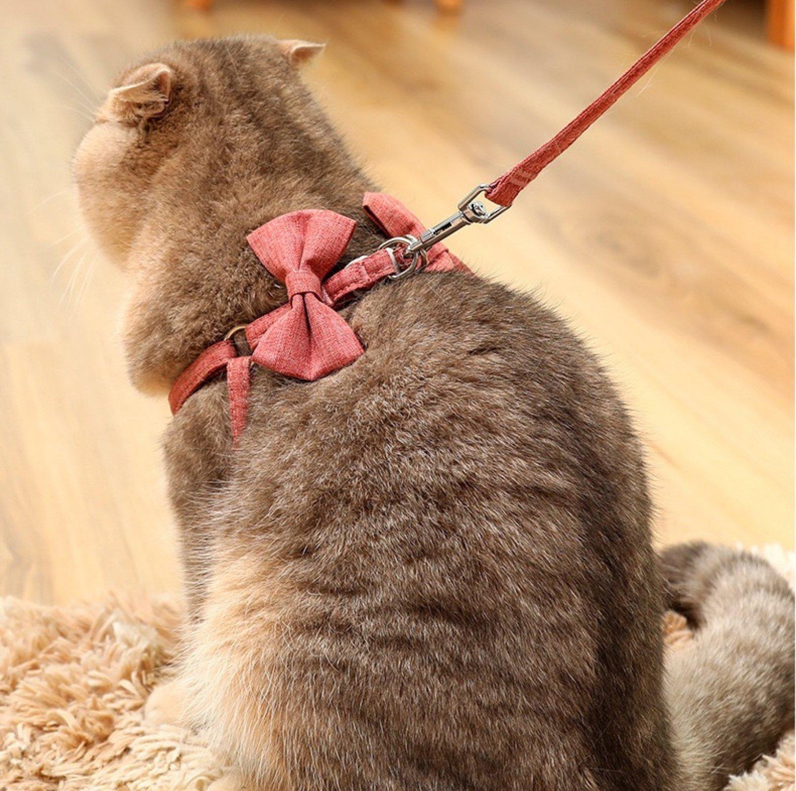 Plain Bow Style Harness for Small and Medium Pets - {{product.type}} - PawPawUp