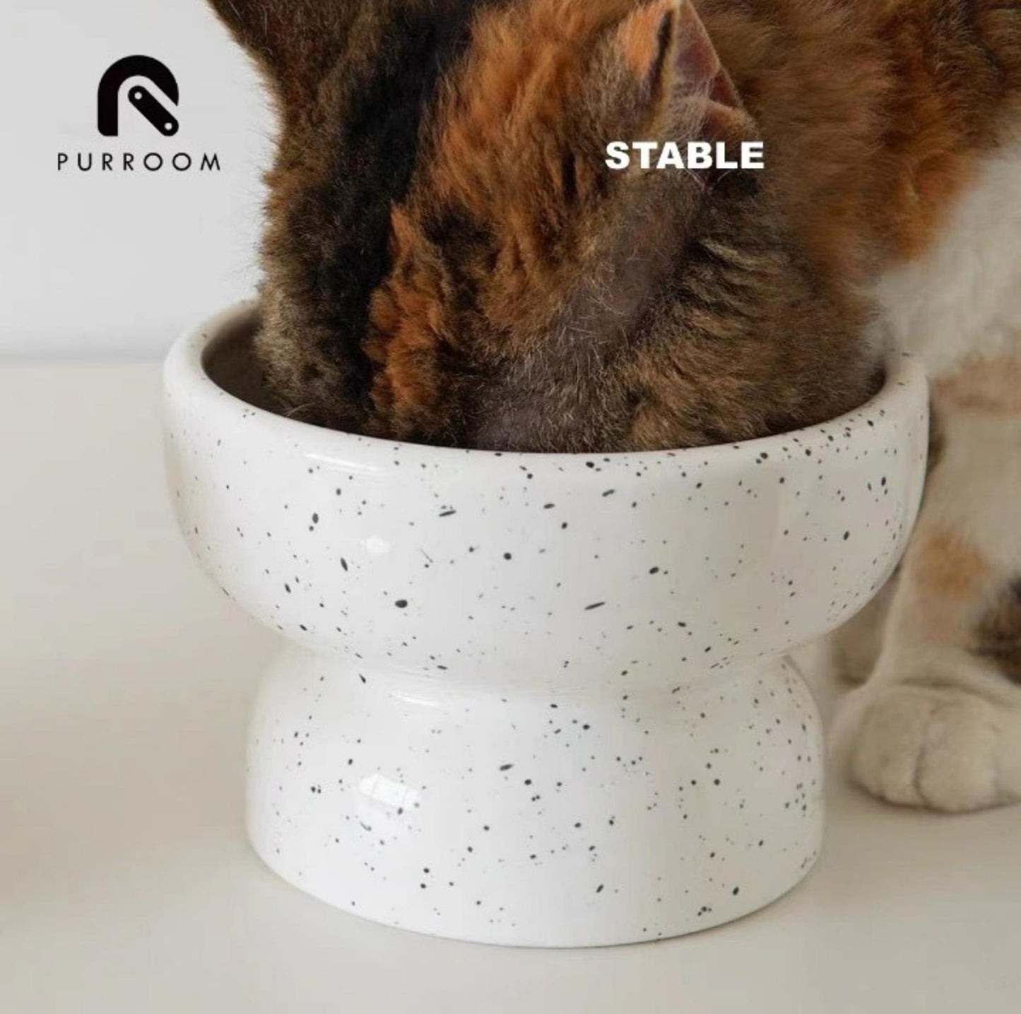 PURROOM Speckle Elevated Ceramic Cat Bowls Small Dog Bowls - {{product.type}} - PawPawUp