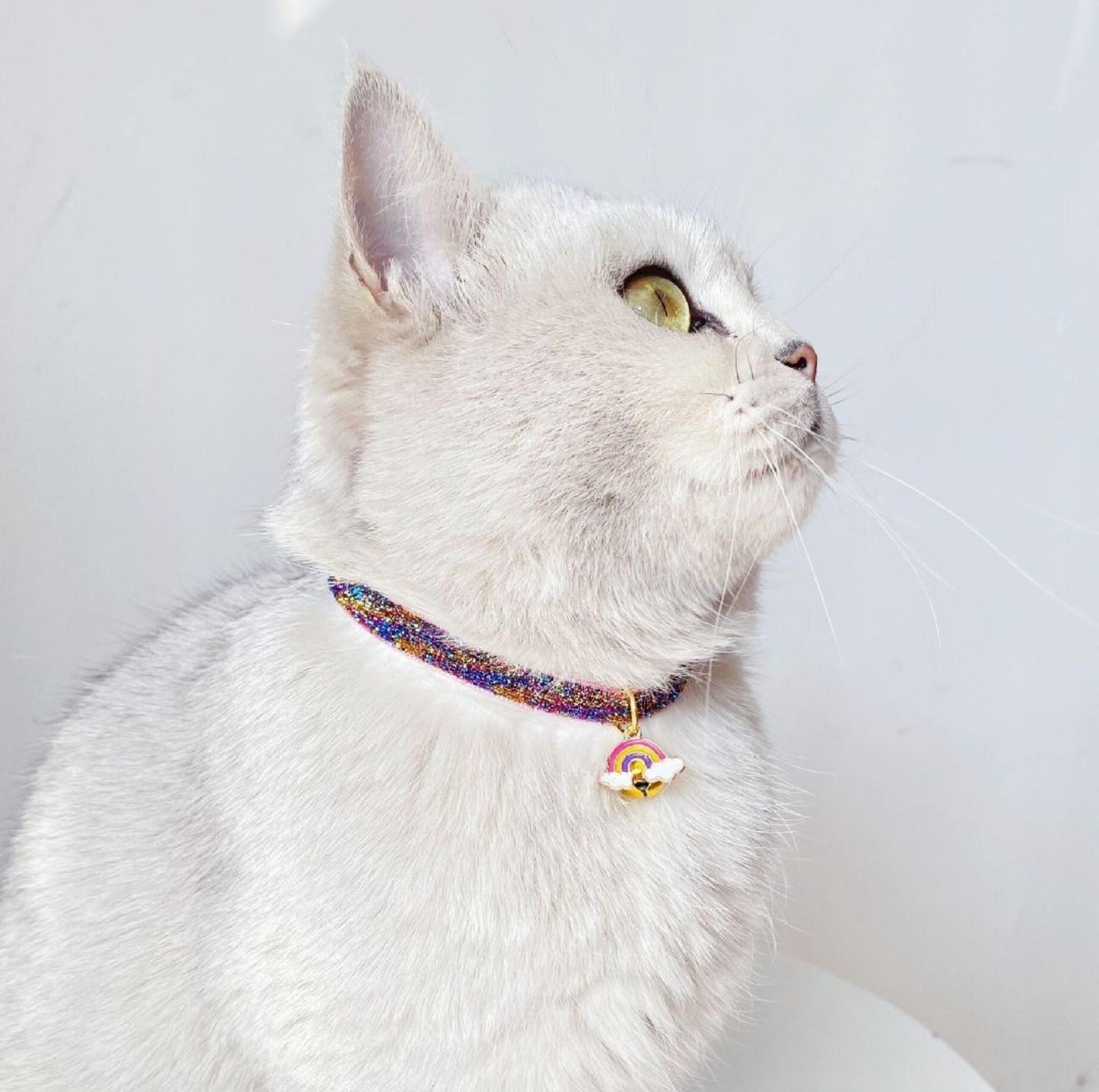 Rainbow Adjustable Pet Collar - {{product.type}} - PawPawUp