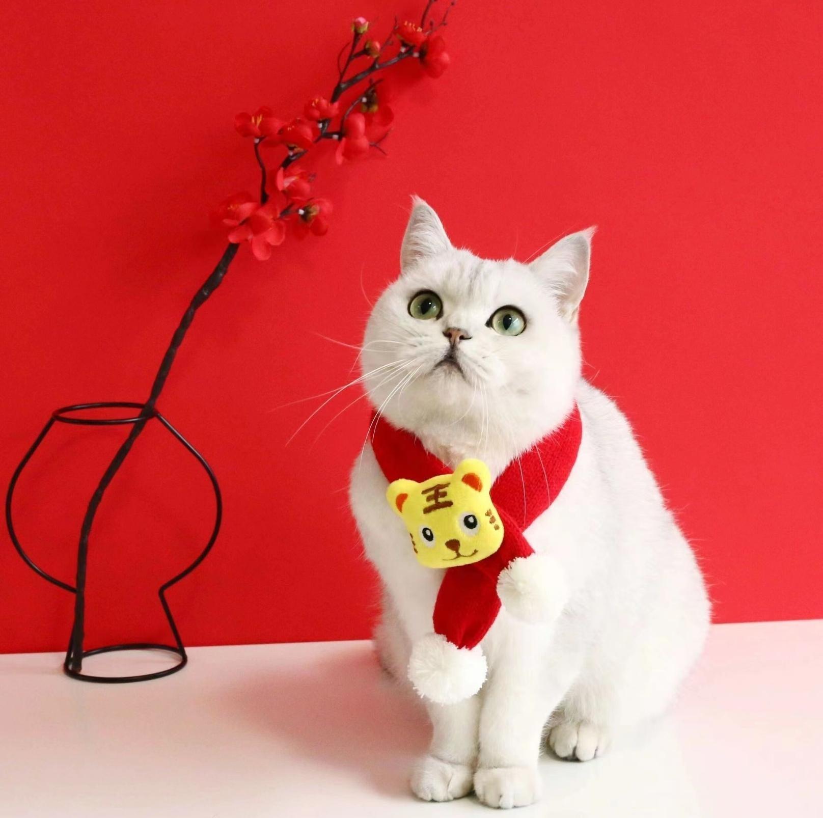 Red Knitted Wool Cartoon Scarfs For Cats and Dogs - {{product.type}} - PawPawUp