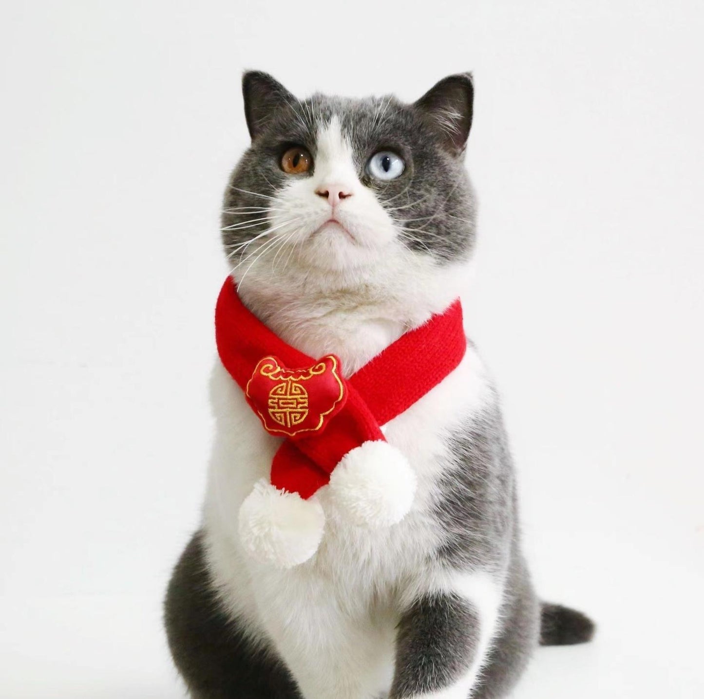Red Knitted Wool Cartoon Scarfs For Cats and Dogs - {{product.type}} - PawPawUp