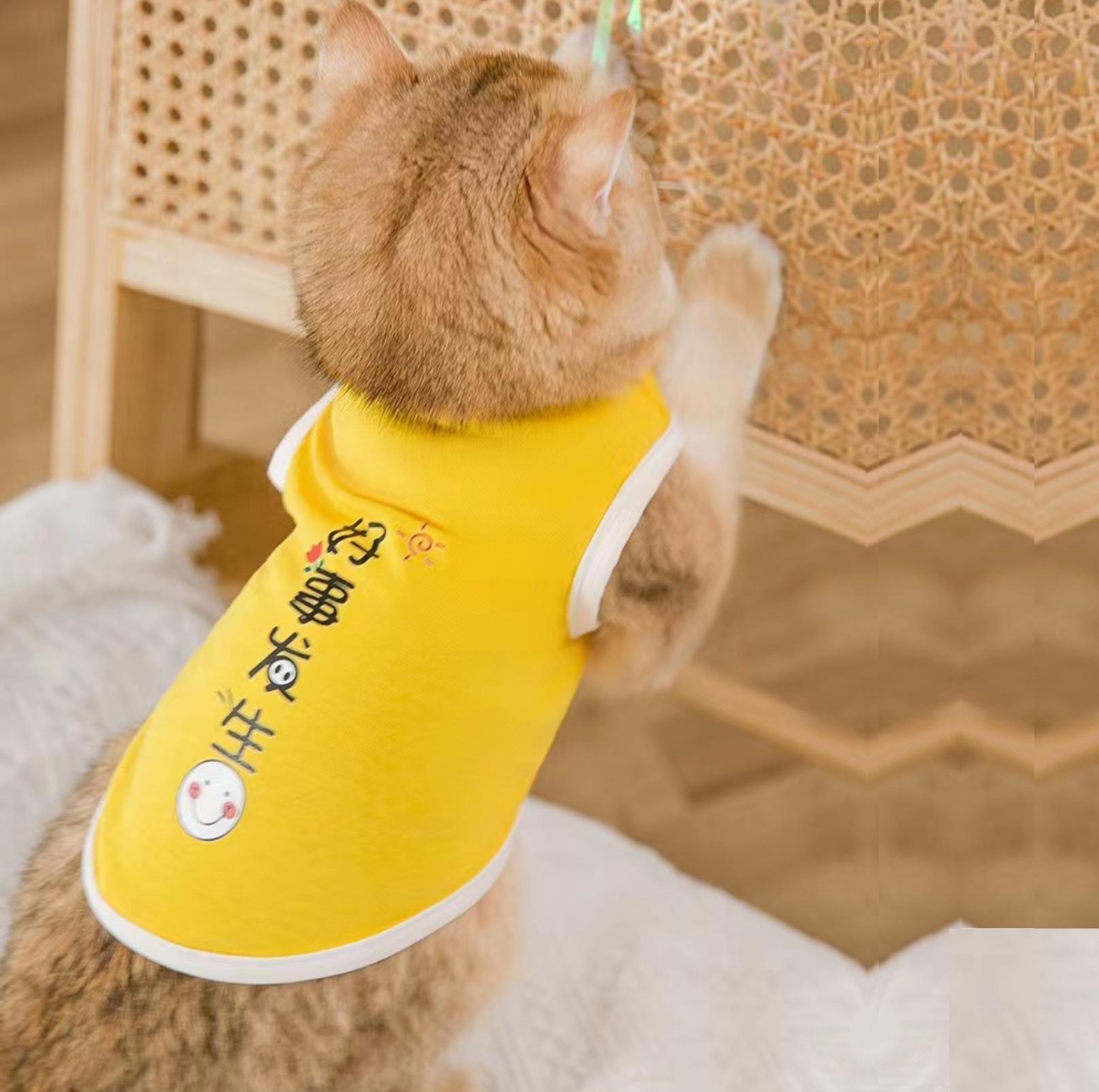 "Something Good Is About To Happen" Breathable Summer Cat And Dog Vest Pet Apparels - {{product.type}} - PawPawUp