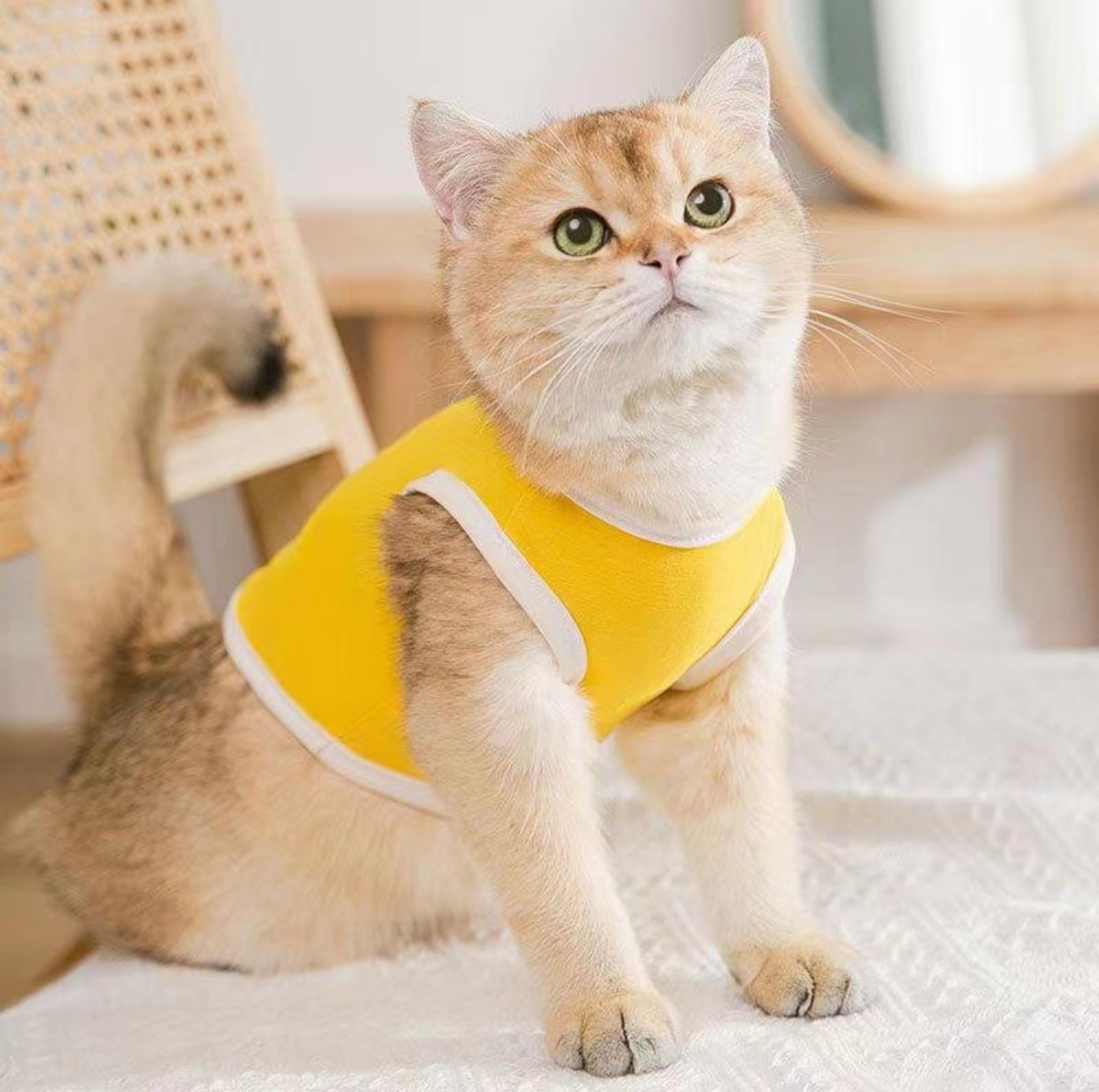 "Something Good Is About To Happen" Breathable Summer Cat And Dog Vest Pet Apparels - {{product.type}} - PawPawUp