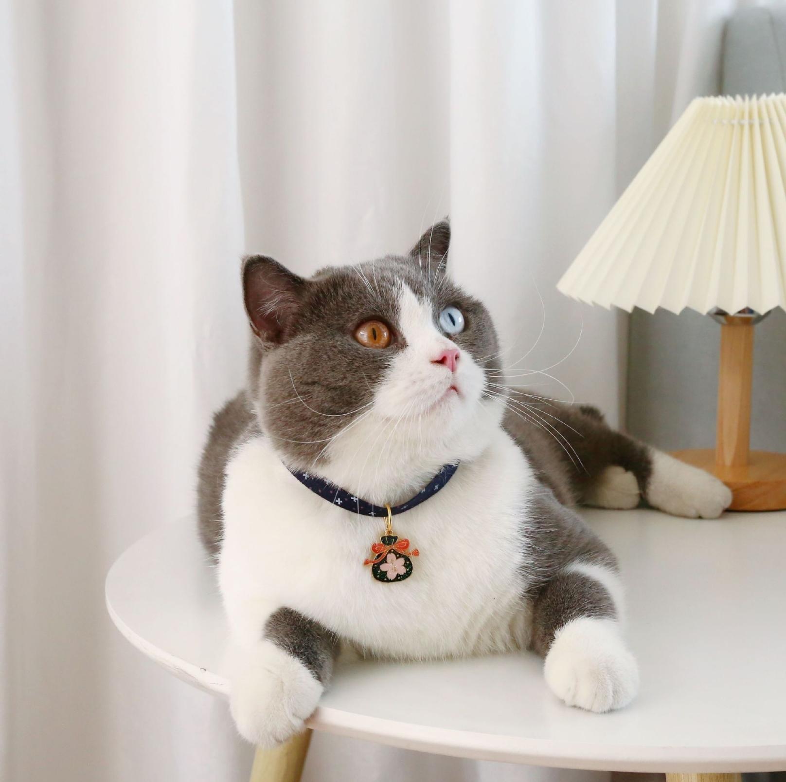 Stylish Cartoon Pendant Adjustable Pet Collar For Cats and Dogs - {{product.type}} - PawPawUp