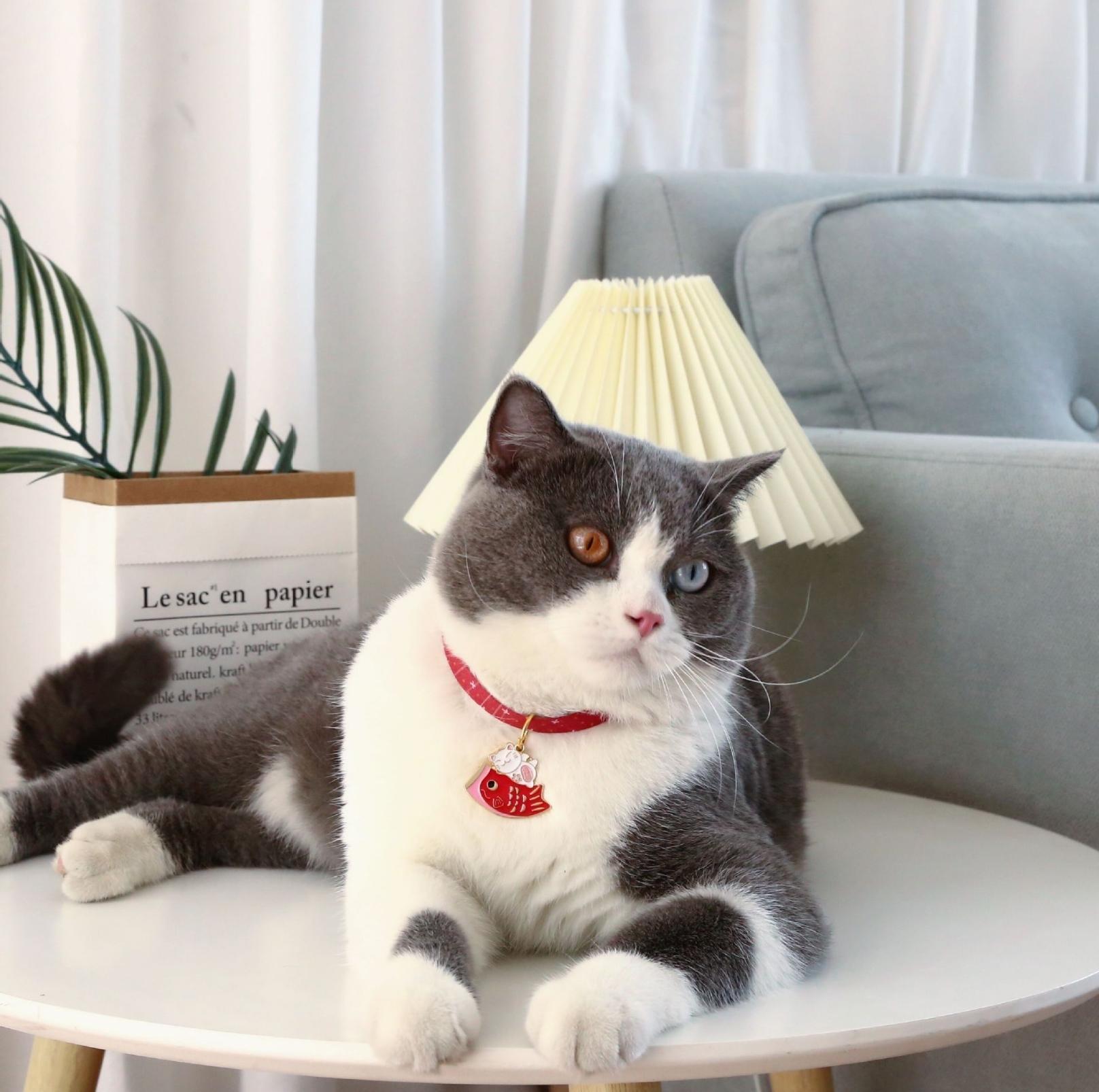 Stylish Cartoon Pendant Adjustable Pet Collar For Cats and Dogs - {{product.type}} - PawPawUp