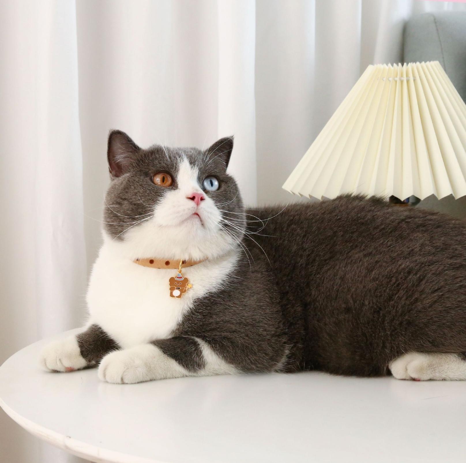 Stylish Cartoon Pendant Adjustable Pet Collar For Cats and Dogs - {{product.type}} - PawPawUp