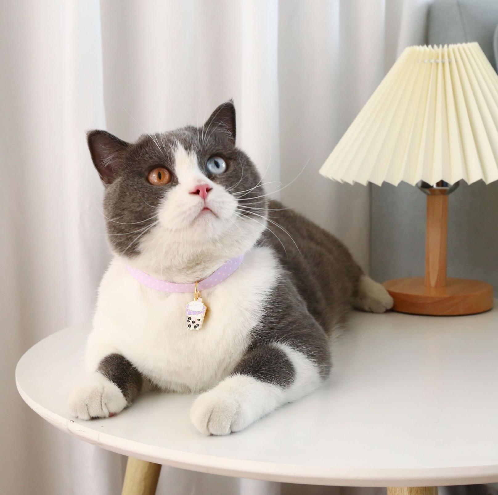 Stylish Cartoon Pendant Adjustable Pet Collar For Cats and Dogs - {{product.type}} - PawPawUp