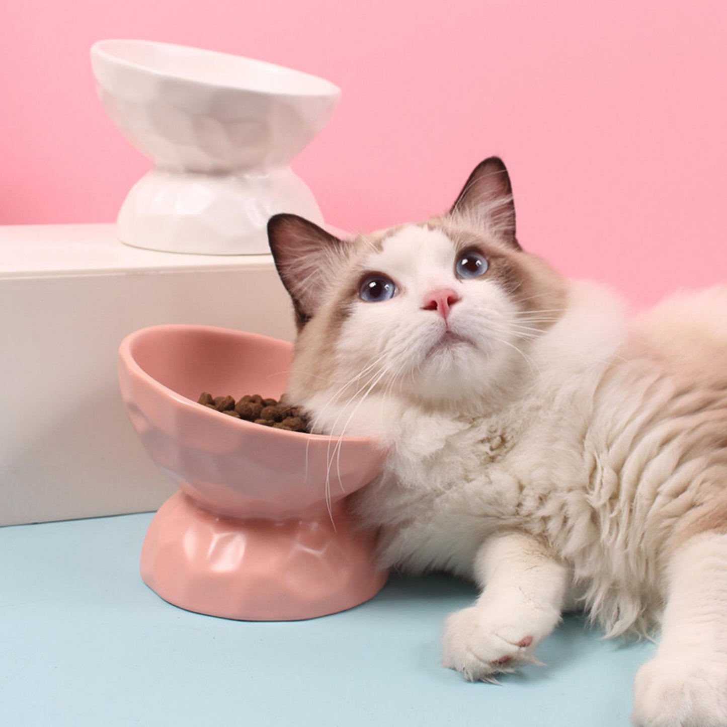 Tilting Ceramic Cat Bowls With Uneven Texture - {{product.type}} - PawPawUp