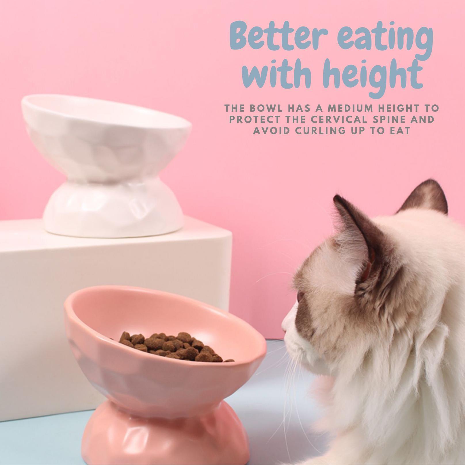 Tilting Ceramic Cat Bowls With Uneven Texture - {{product.type}} - PawPawUp
