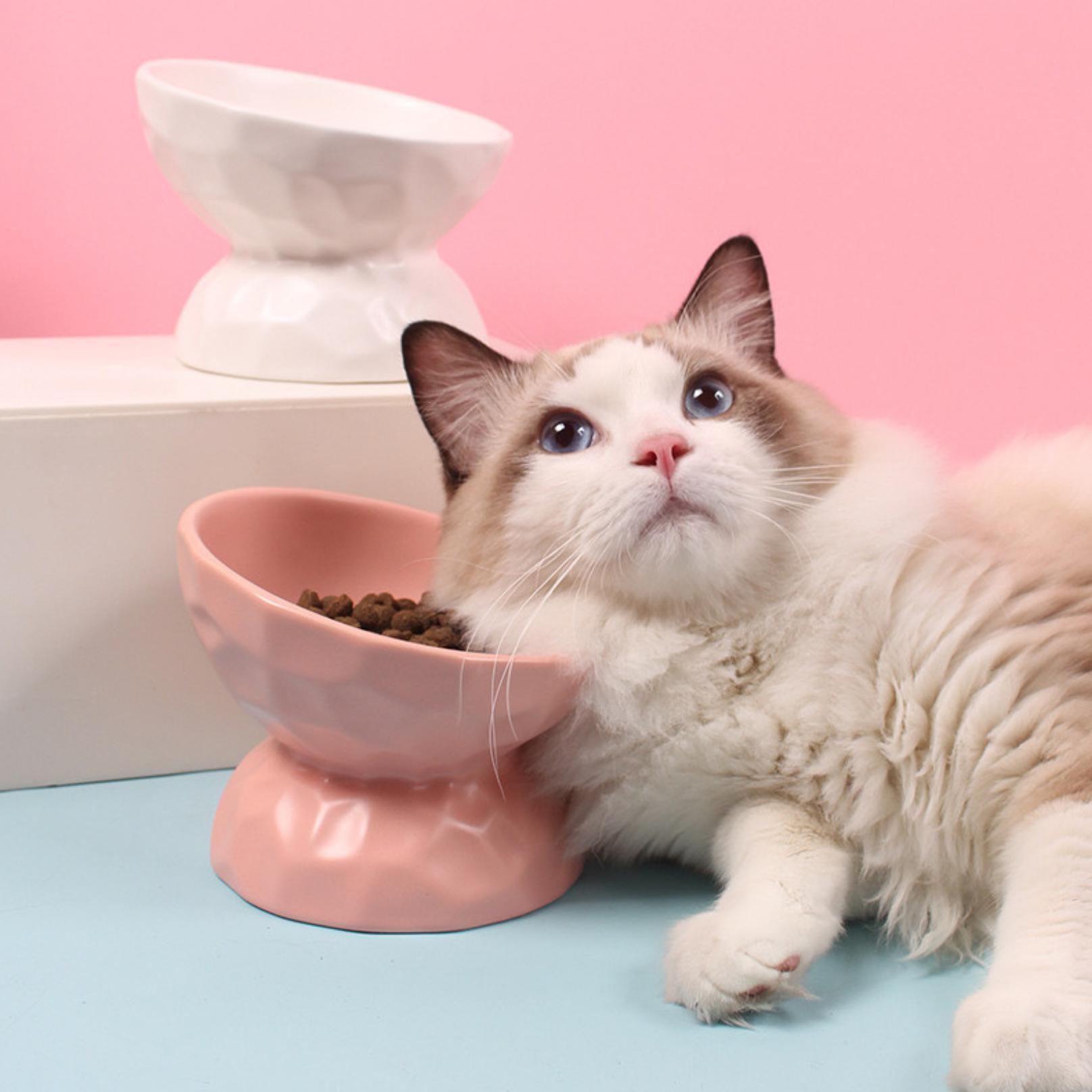 Tilting Ceramic Cat Bowls With Uneven Texture - {{product.type}} - PawPawUp
