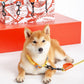 Touchdog Macaroon Colour Scheme Pet Leash Set (Leash + Collar) - {{product.type}} - PawPawUp