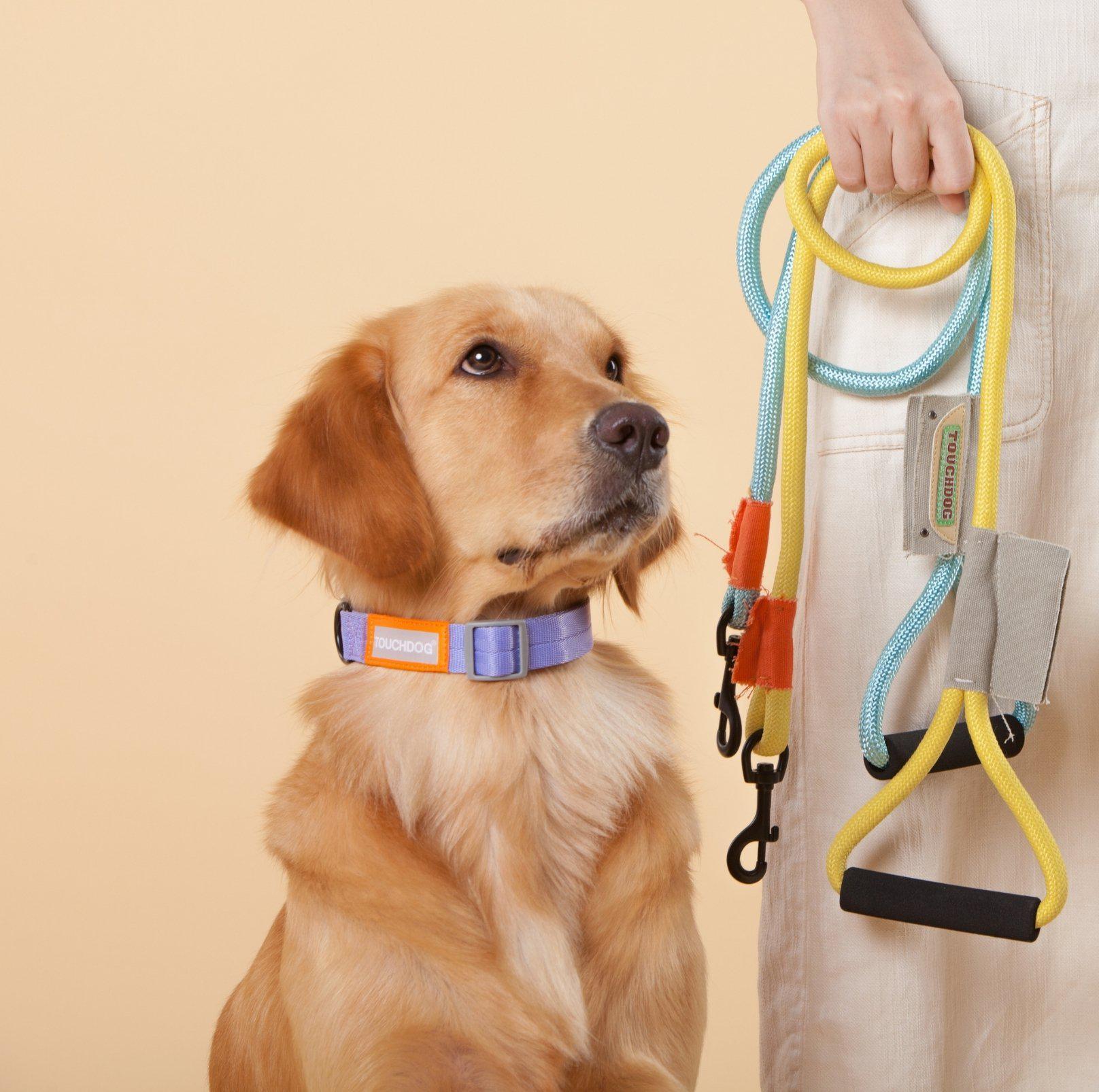 Touchdog Macaroon Colour Scheme Pet Leash Set (Leash + Collar) - {{product.type}} - PawPawUp