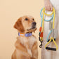 Touchdog Macaroon Colour Scheme Pet Leash Set (Leash + Collar) - {{product.type}} - PawPawUp