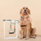 Touchdog Macaroon Colour Scheme Pet Leash Set (Leash + Harness) - {{product.type}} - PawPawUp