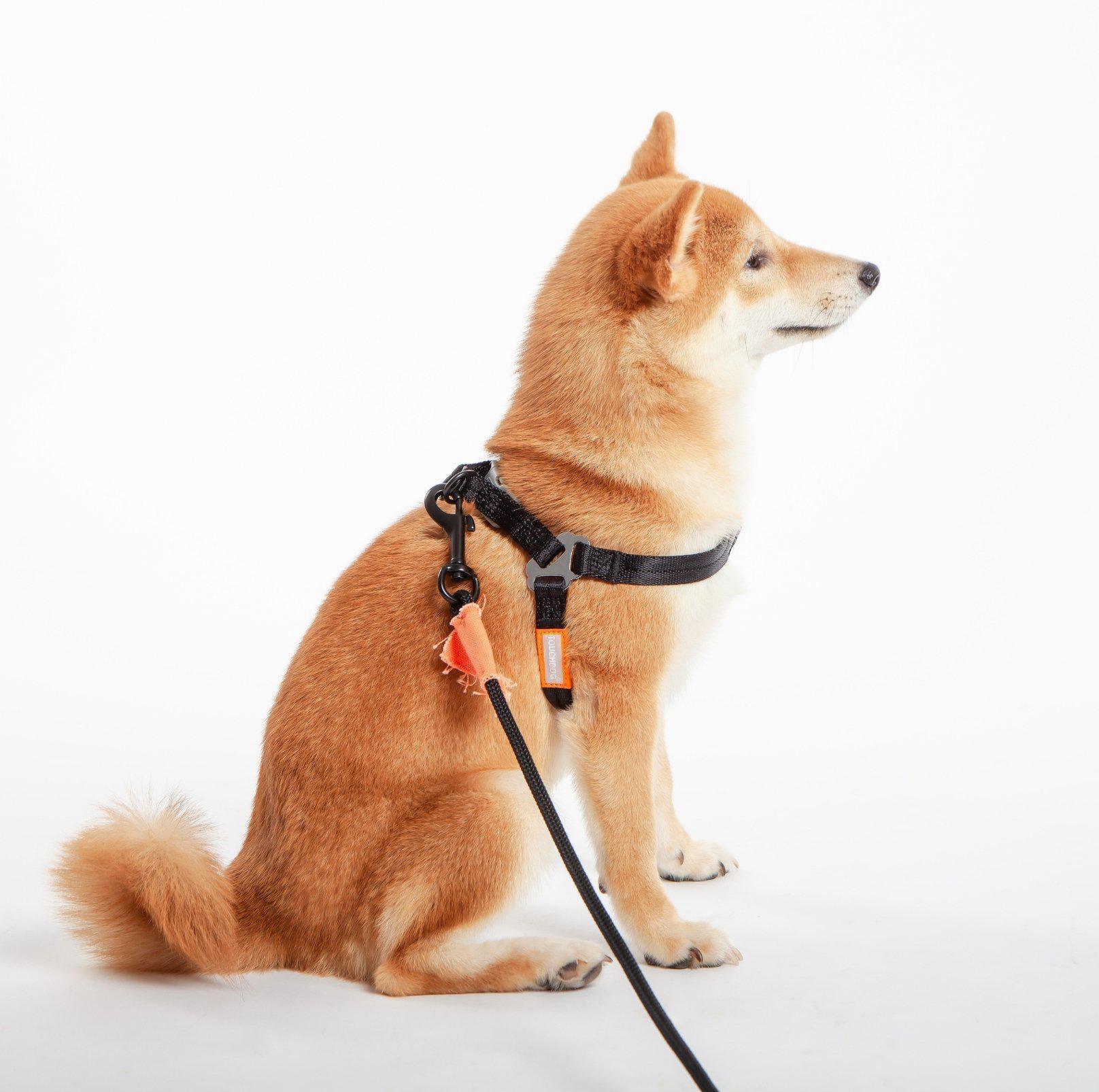 Touchdog Macaroon Colour Scheme Pet Leash Set (Leash + Harness) - {{product.type}} - PawPawUp