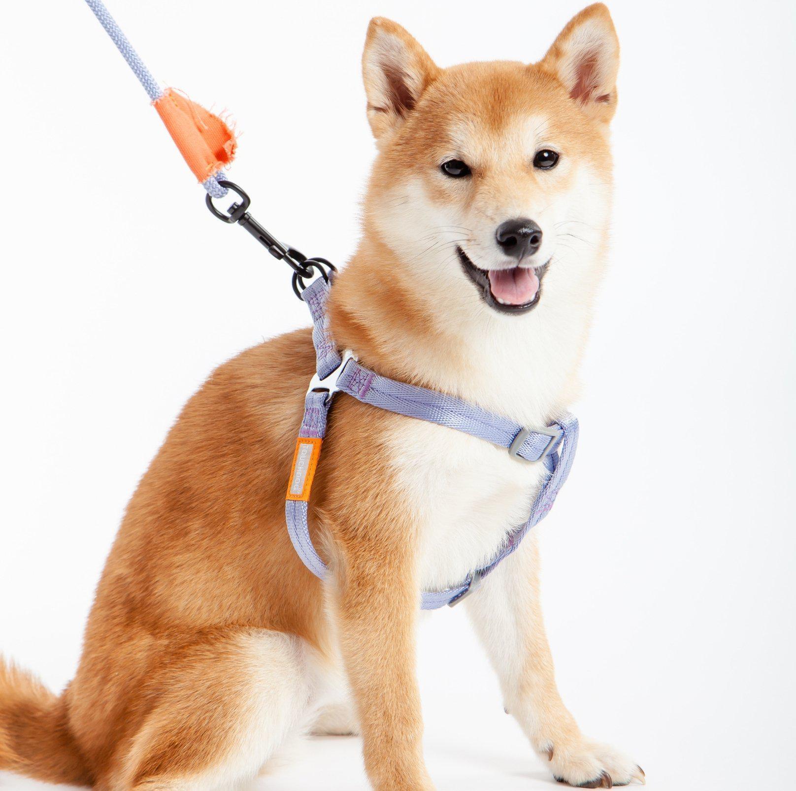Touchdog Macaroon Colour Scheme Pet Leash Set (Leash + Harness) - {{product.type}} - PawPawUp