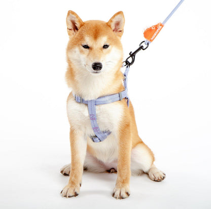Touchdog Macaroon Colour Scheme Pet Leash Set (Leash + Harness) - {{product.type}} - PawPawUp