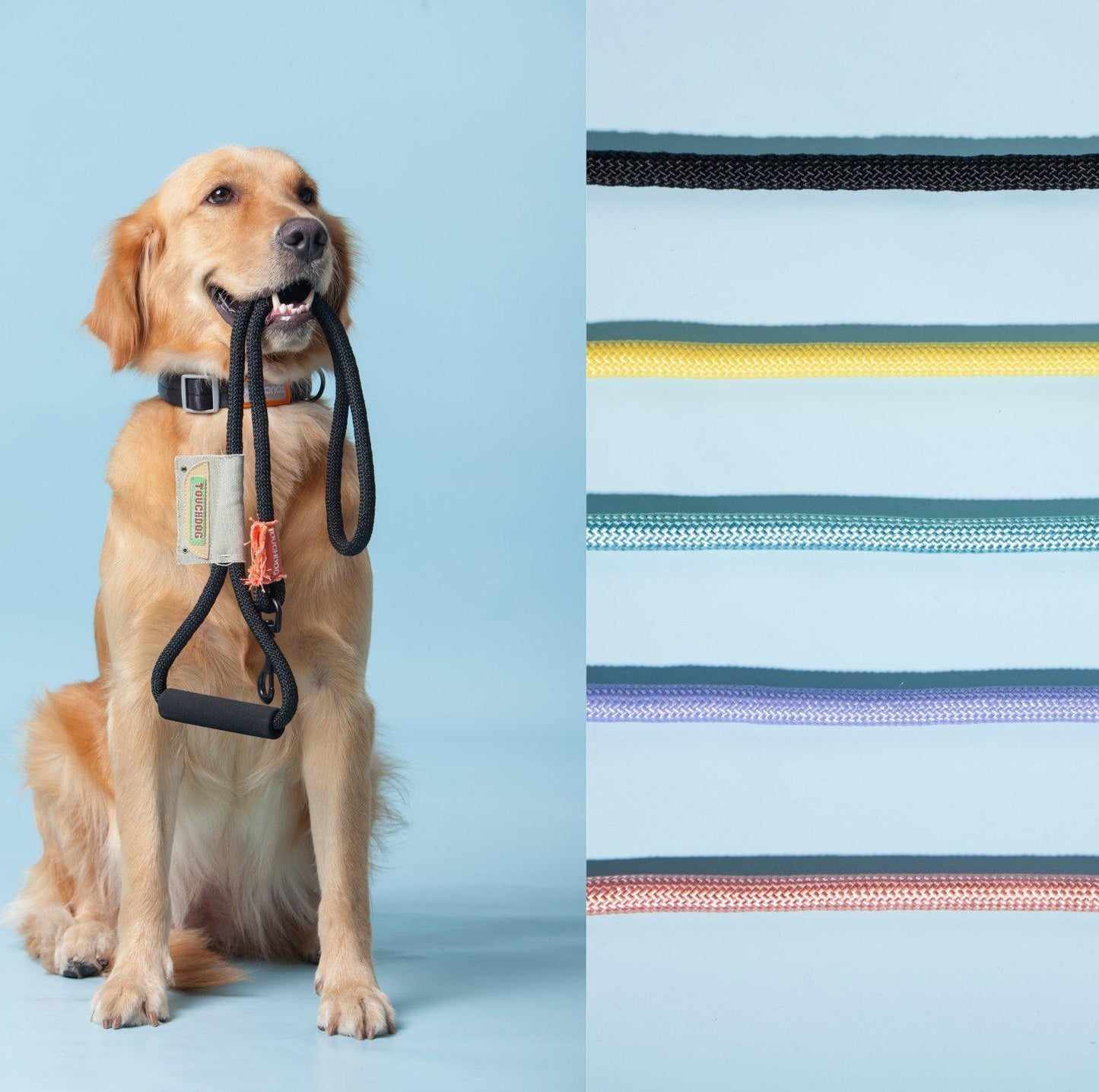 Touchdog Macaroon Colour Scheme Pet Leash Set (Leash + Harness) - {{product.type}} - PawPawUp