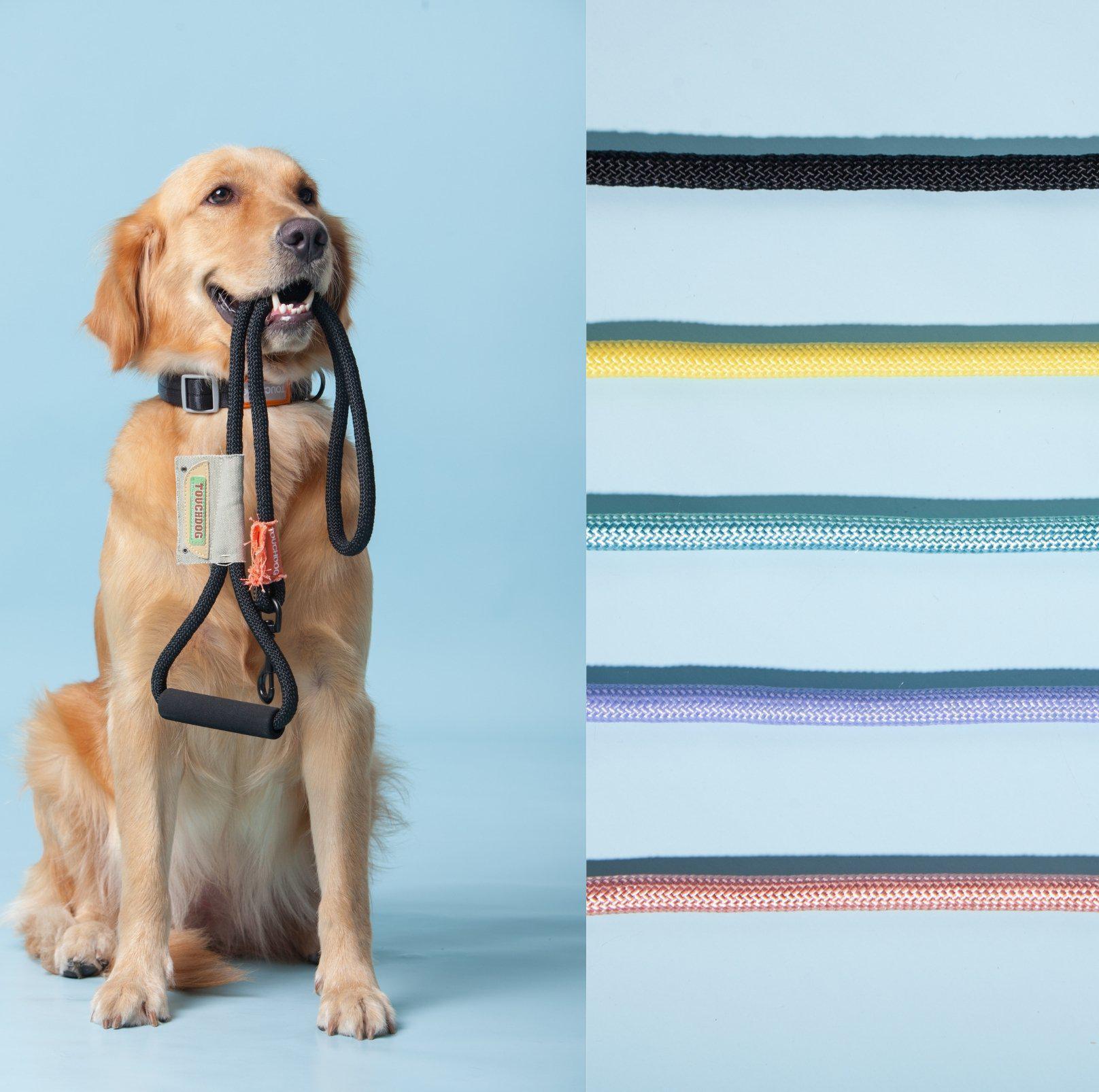 Touchdog Macaroon Colour Scheme Pet Leash Set (Leash + Harness) - {{product.type}} - PawPawUp