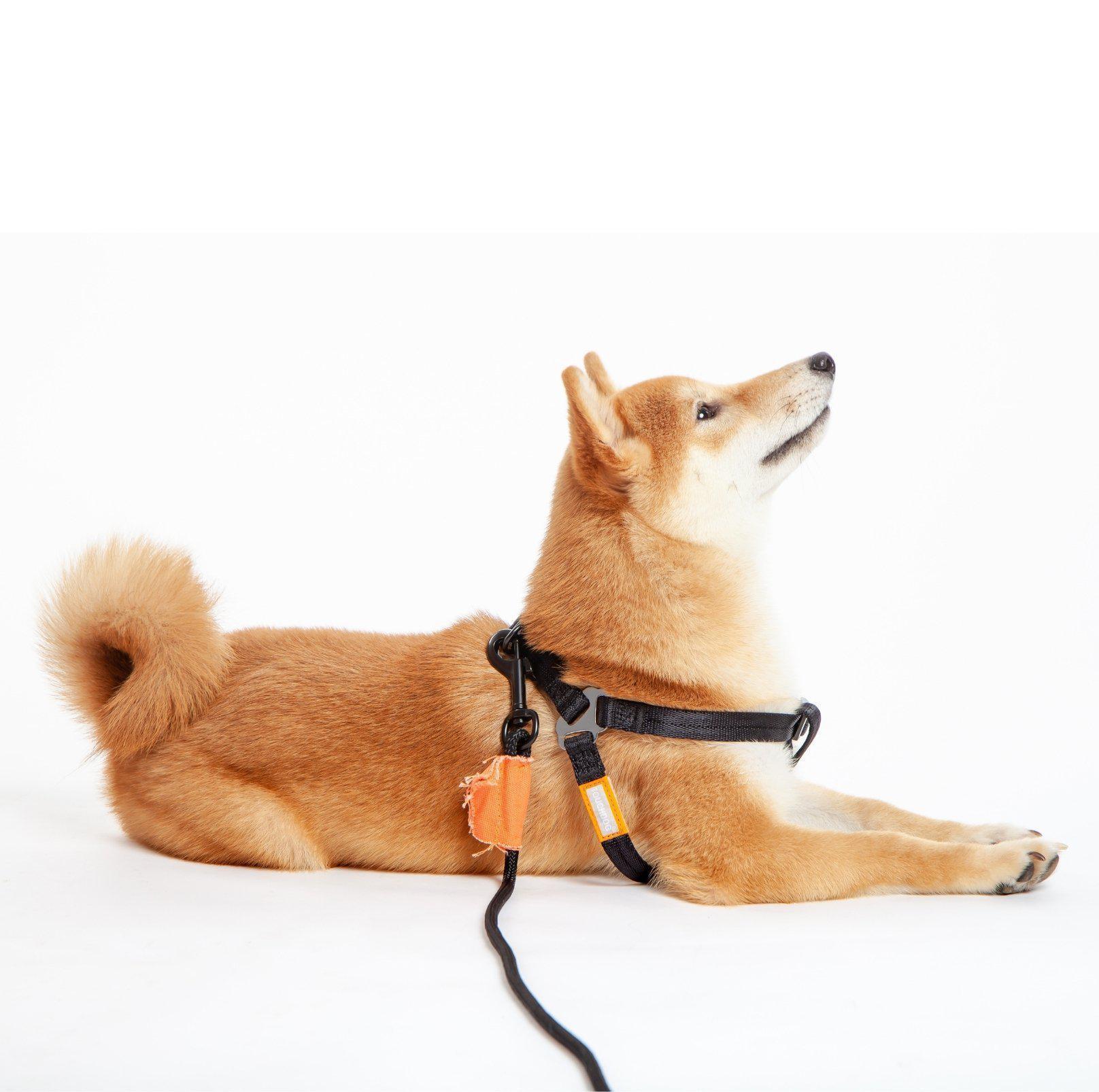 5280 dog harness outlet sizing