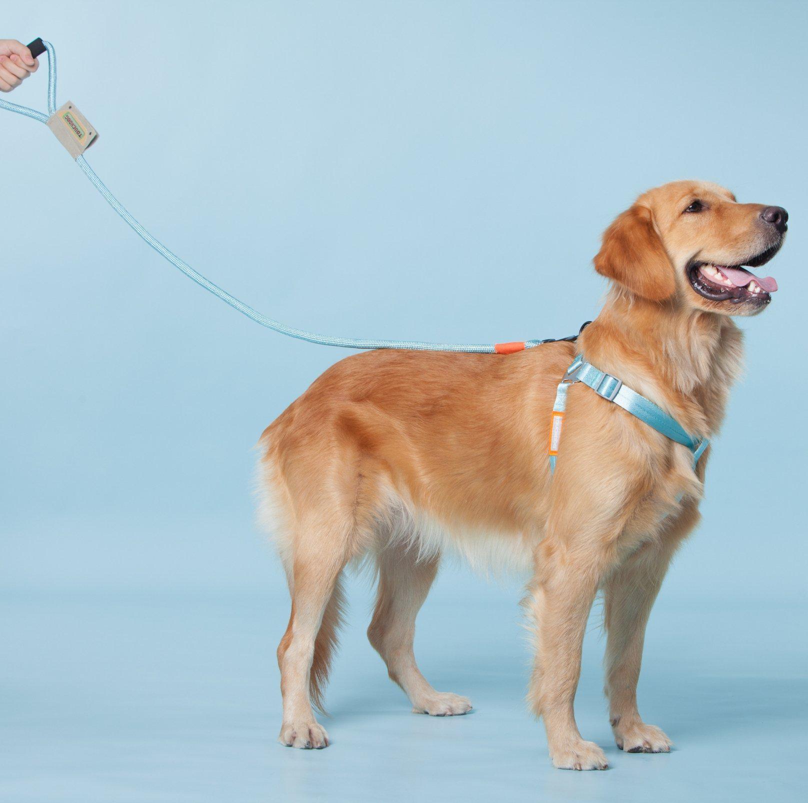 Touchdog Macaroon Colour Scheme Pet Leash Set (Leash + Harness) - {{product.type}} - PawPawUp