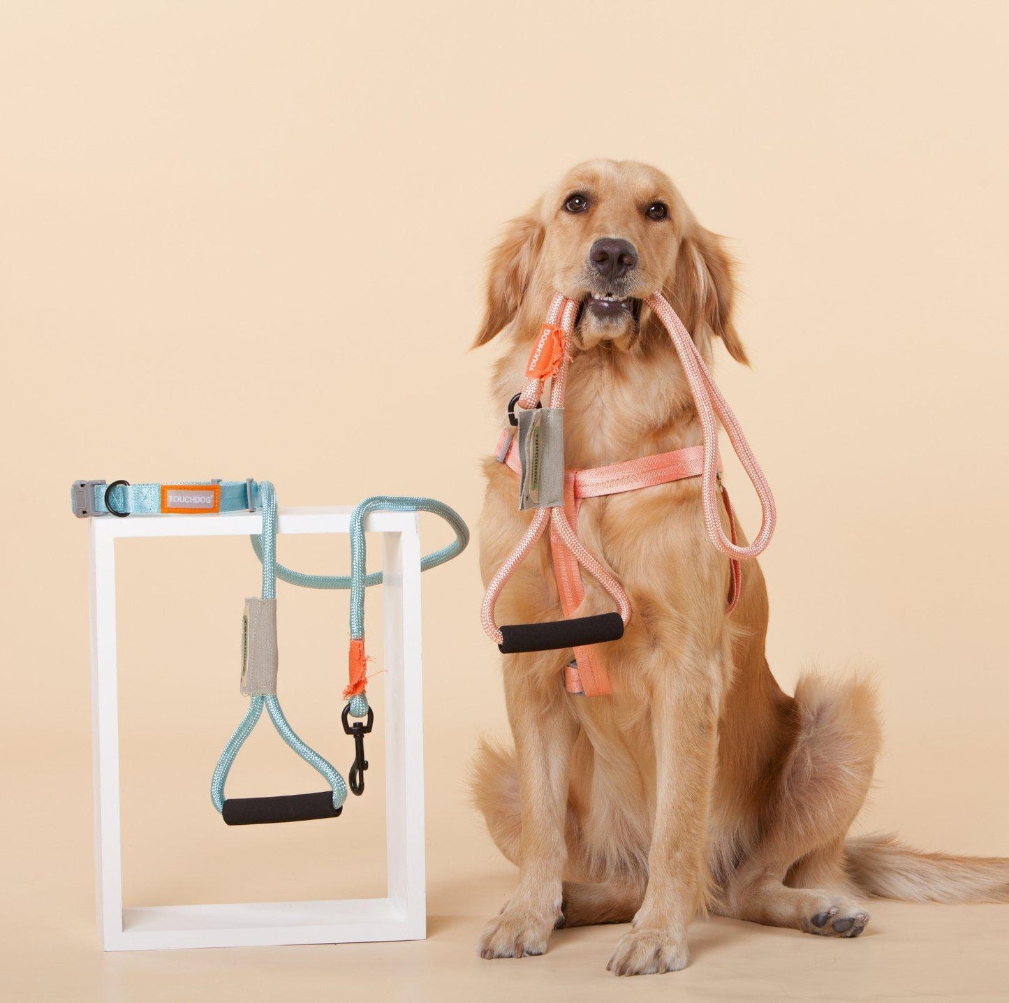 Touchdog Macaroon Colour Scheme Pet Leash Set (Leash + Harness) - {{product.type}} - PawPawUp