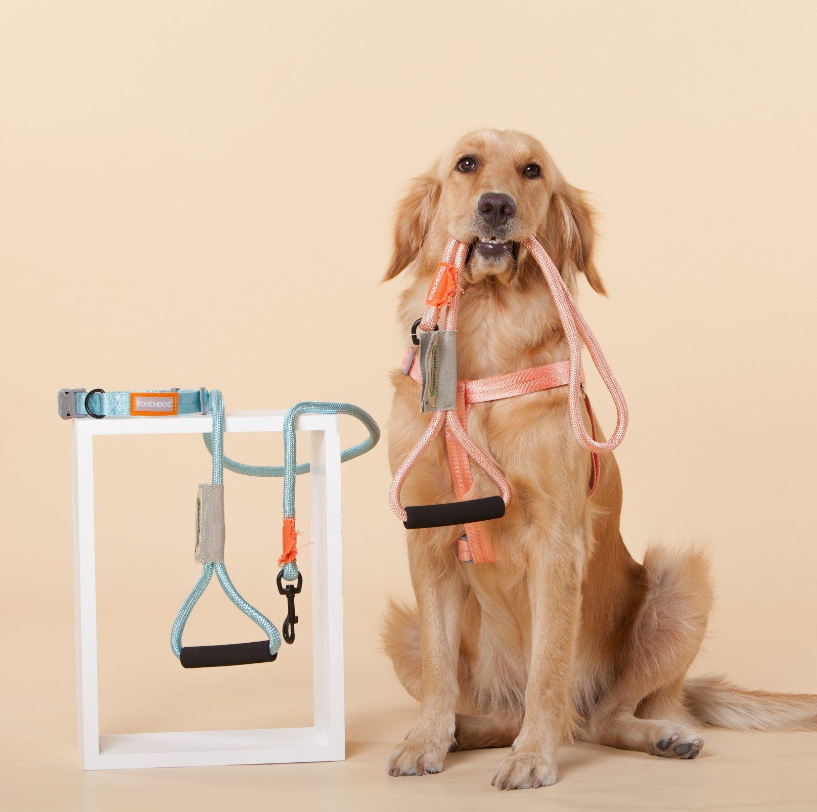 Touchdog Macaroon Colour Scheme Pet Leash Set (Leash + Harness) - {{product.type}} - PawPawUp