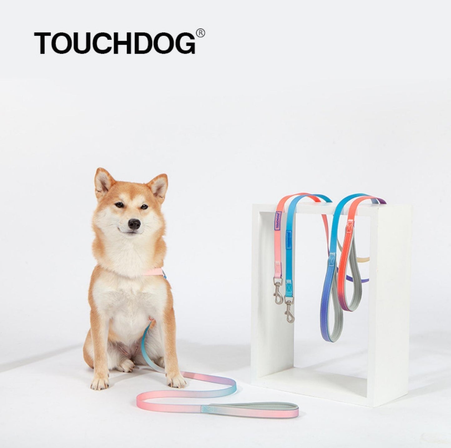 Touchdog PVC Gradient Jelly Pet Leash Set - {{product.type}} - PawPawUp