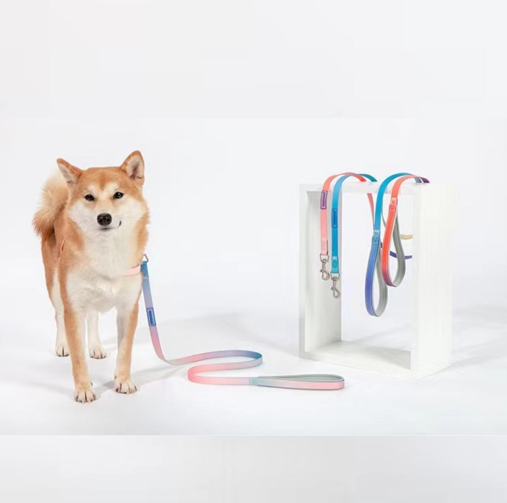 Touchdog PVC Gradient Jelly Pet Leash Set - {{product.type}} - PawPawUp