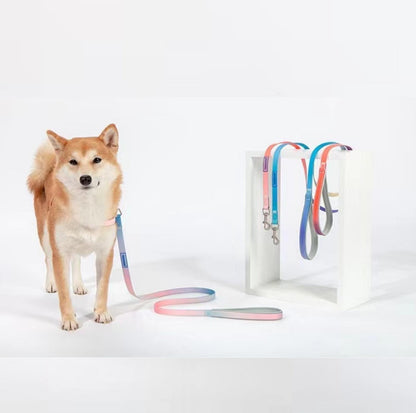 Touchdog PVC Gradient Jelly Pet Leash Set - {{product.type}} - PawPawUp