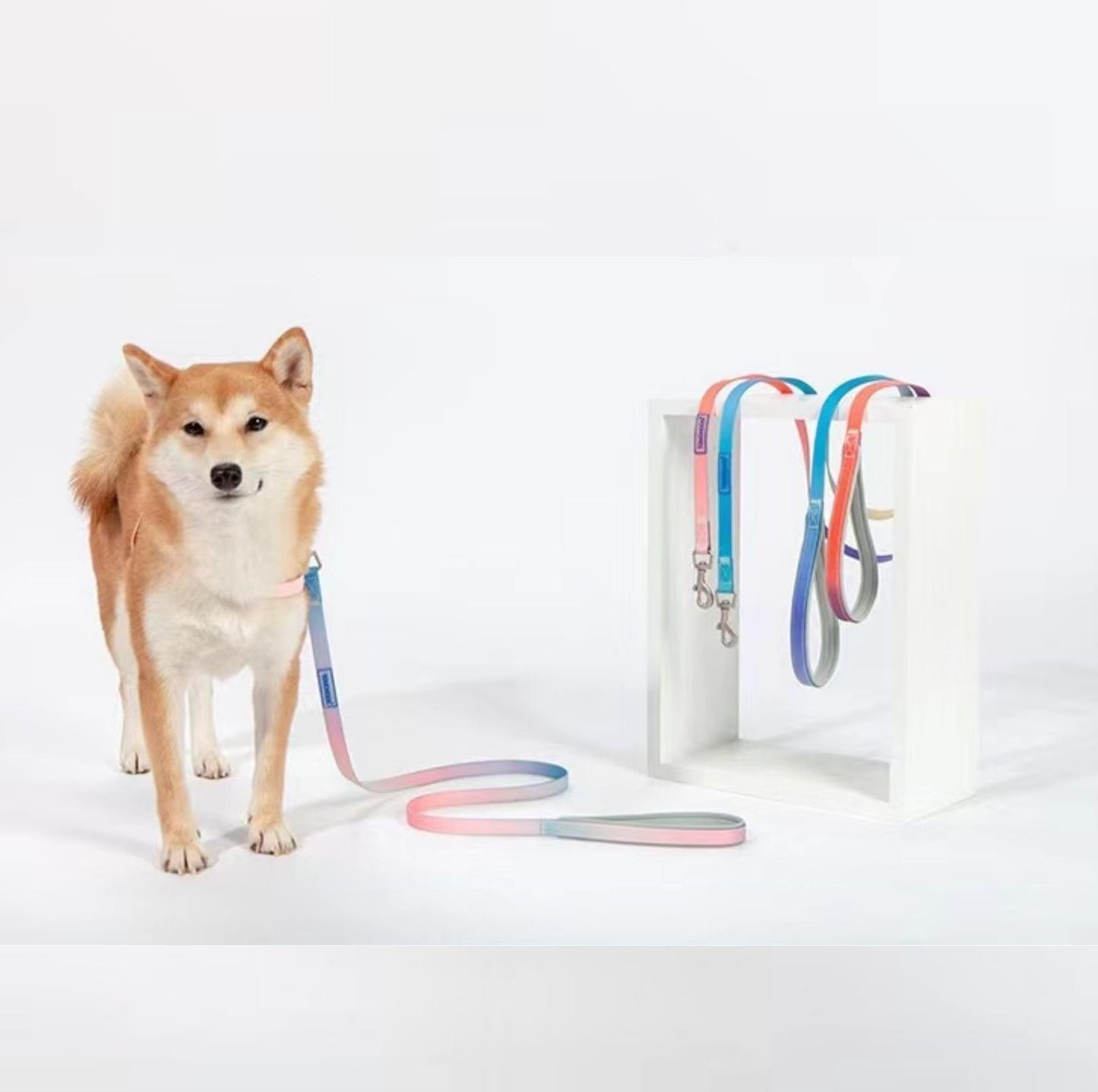 Touchdog PVC Gradient Jelly Pet Leash Set - {{product.type}} - PawPawUp