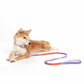 Touchdog PVC Gradient Jelly Pet Leash Set - {{product.type}} - PawPawUp
