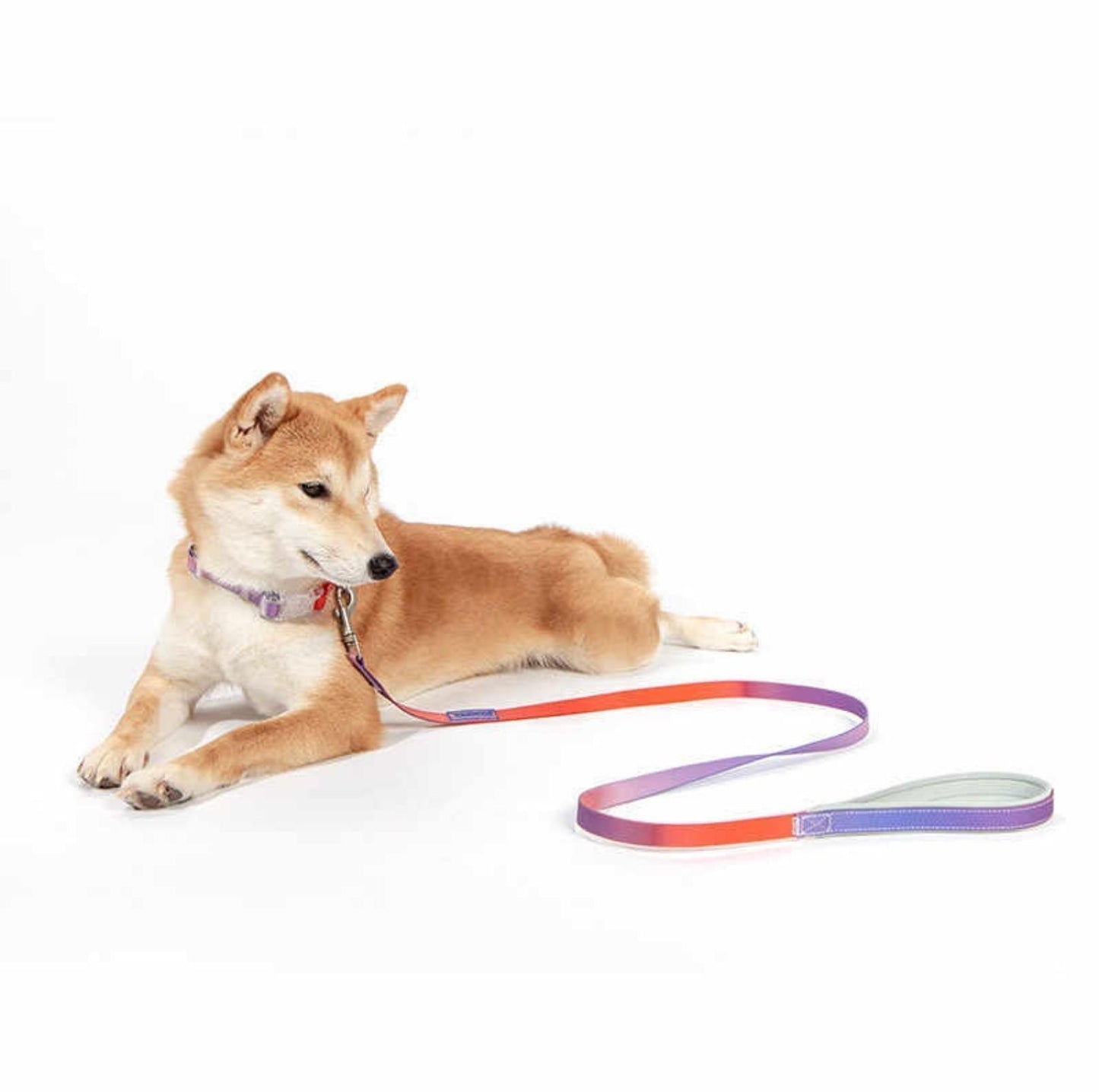 Touchdog PVC Gradient Jelly Pet Leash Set - {{product.type}} - PawPawUp