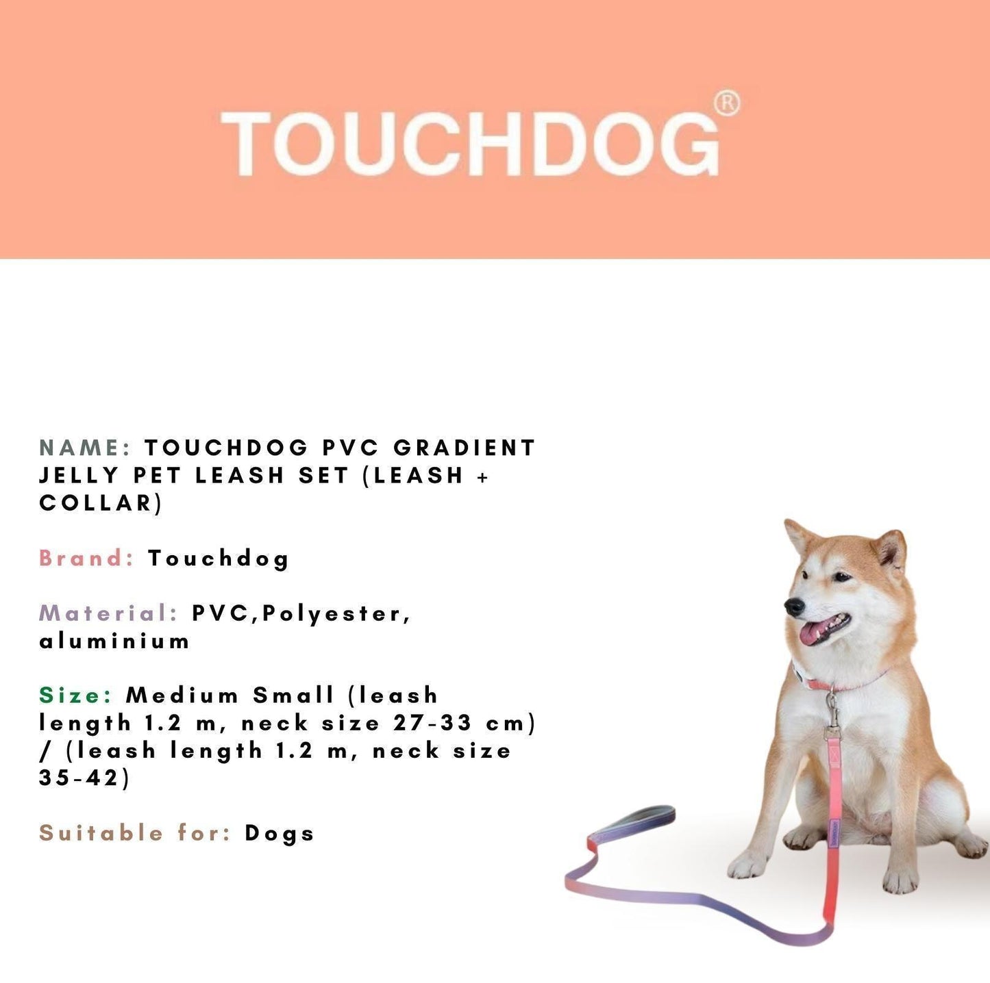 Touchdog PVC Gradient Jelly Pet Leash Set - {{product.type}} - PawPawUp