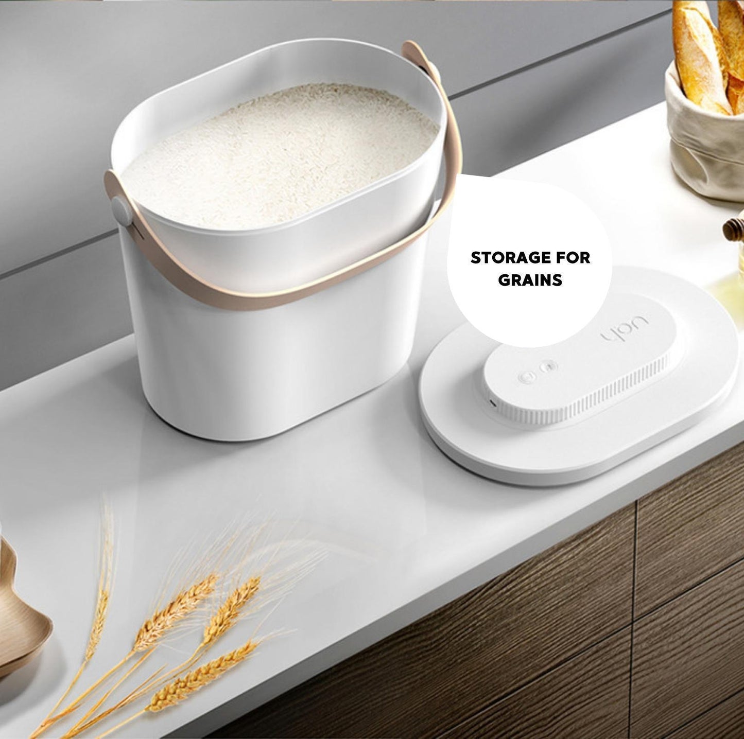Uah Pet Smart Vacuum Seal Storage Container - {{product.type}} - PawPawUp