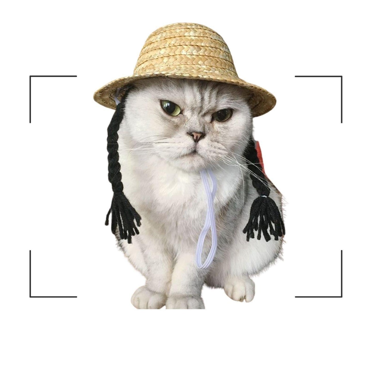 Unique Style Pet Straw Hat - {{product.type}} - PawPawUp