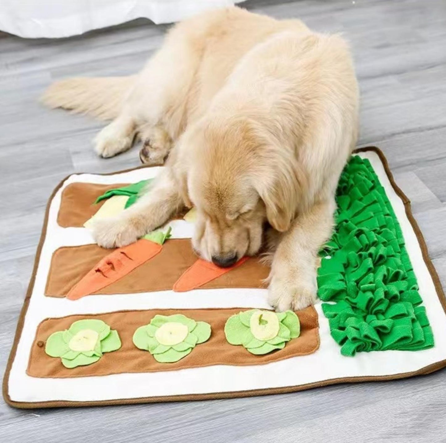 https://pawpawup.com.au/cdn/shop/products/veggie-garden-large-dog-snuffle-mat-puzzle-training-toy-pawpawup-3.jpg?v=1683293569&width=1445