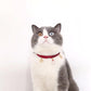 Velvet Adjustable Pet Collar With Bronzing Pendants - {{product.type}} - PawPawUp