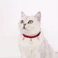 Velvet Adjustable Pet Collar With Bronzing Pendants - {{product.type}} - PawPawUp