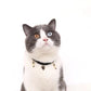 Velvet Adjustable Pet Collar With Bronzing Pendants - {{product.type}} - PawPawUp
