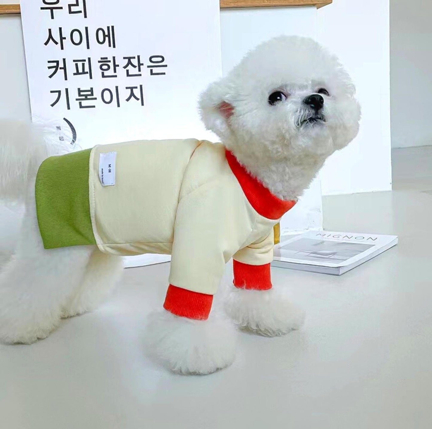 Versatile Colour Blocking Dog and Cat Sweatshirt Pet Apparels - {{product.type}} - PawPawUp