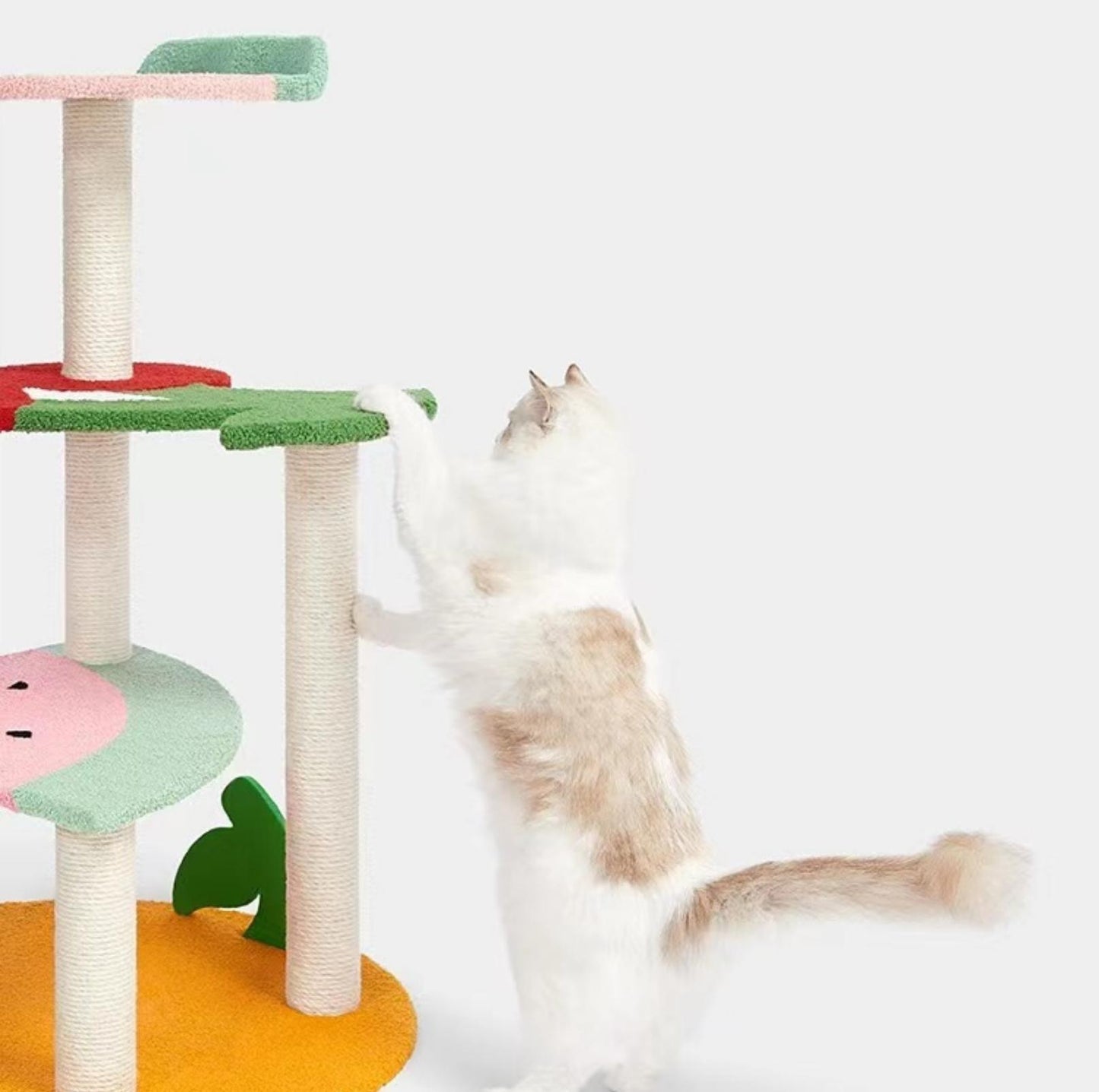 Vetreska Fruity Climbing Frame Cat Tree With Scratching Post - {{product.type}} - PawPawUp