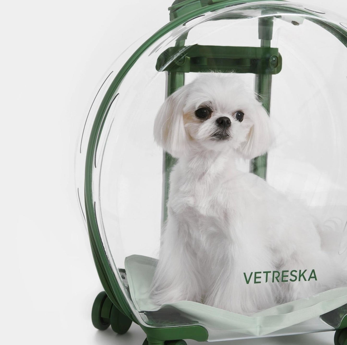 Vetreska Watermelon Luggage Cat Carrier Small Dog Carrier - {{product.type}} - PawPawUp