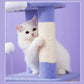 "Walking Among The Starry Sky" Cat Tree With Scratching Posts - {{product.type}} - PawPawUp
