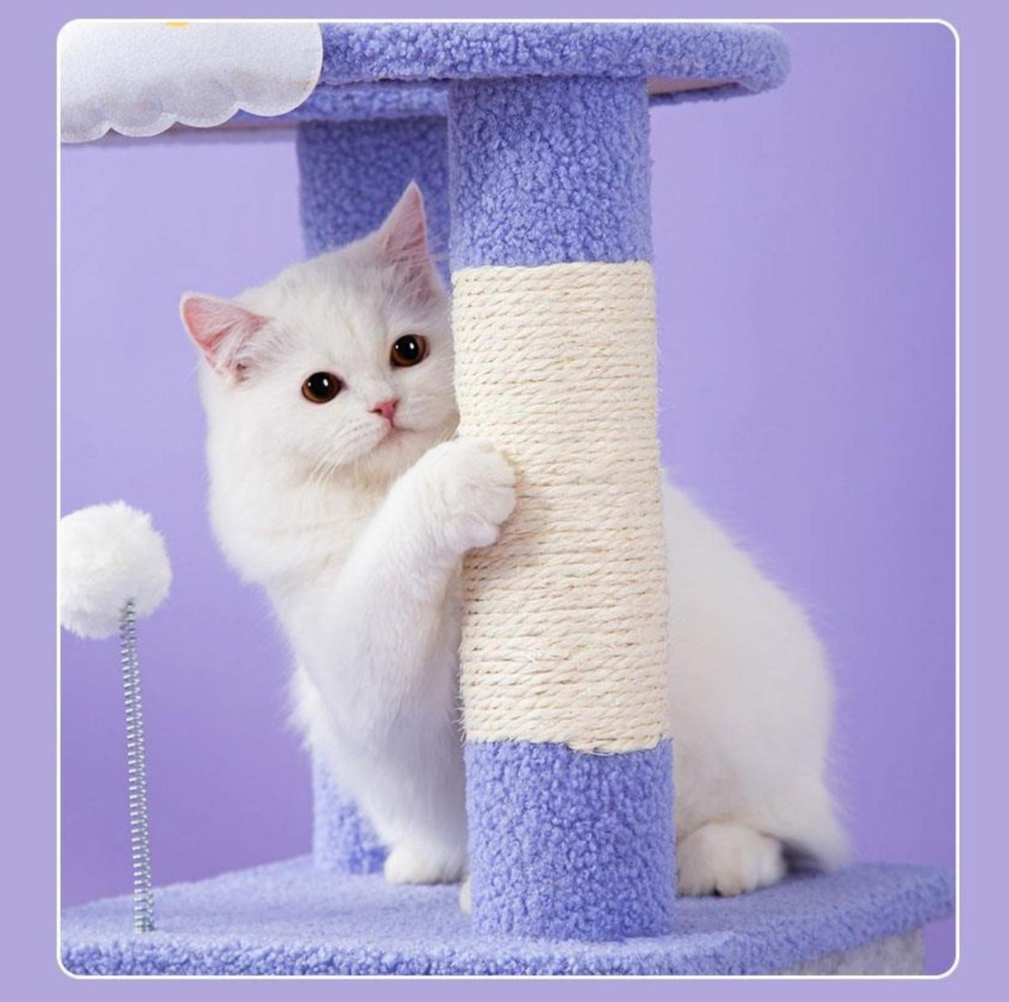 "Walking Among The Starry Sky" Cat Tree With Scratching Posts - {{product.type}} - PawPawUp