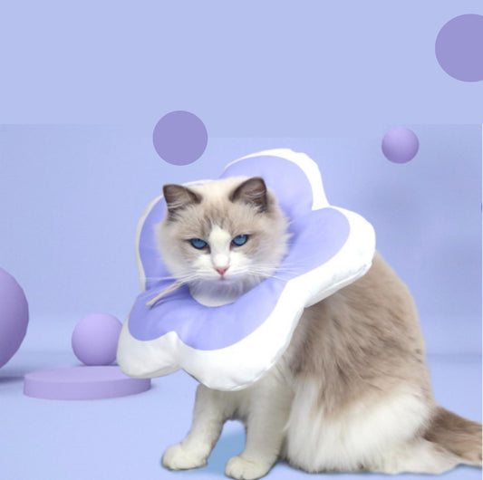 Waterproof Flower Pattern Elizabeth Collar for Cats and Dogs - {{product.type}} - PawPawUp