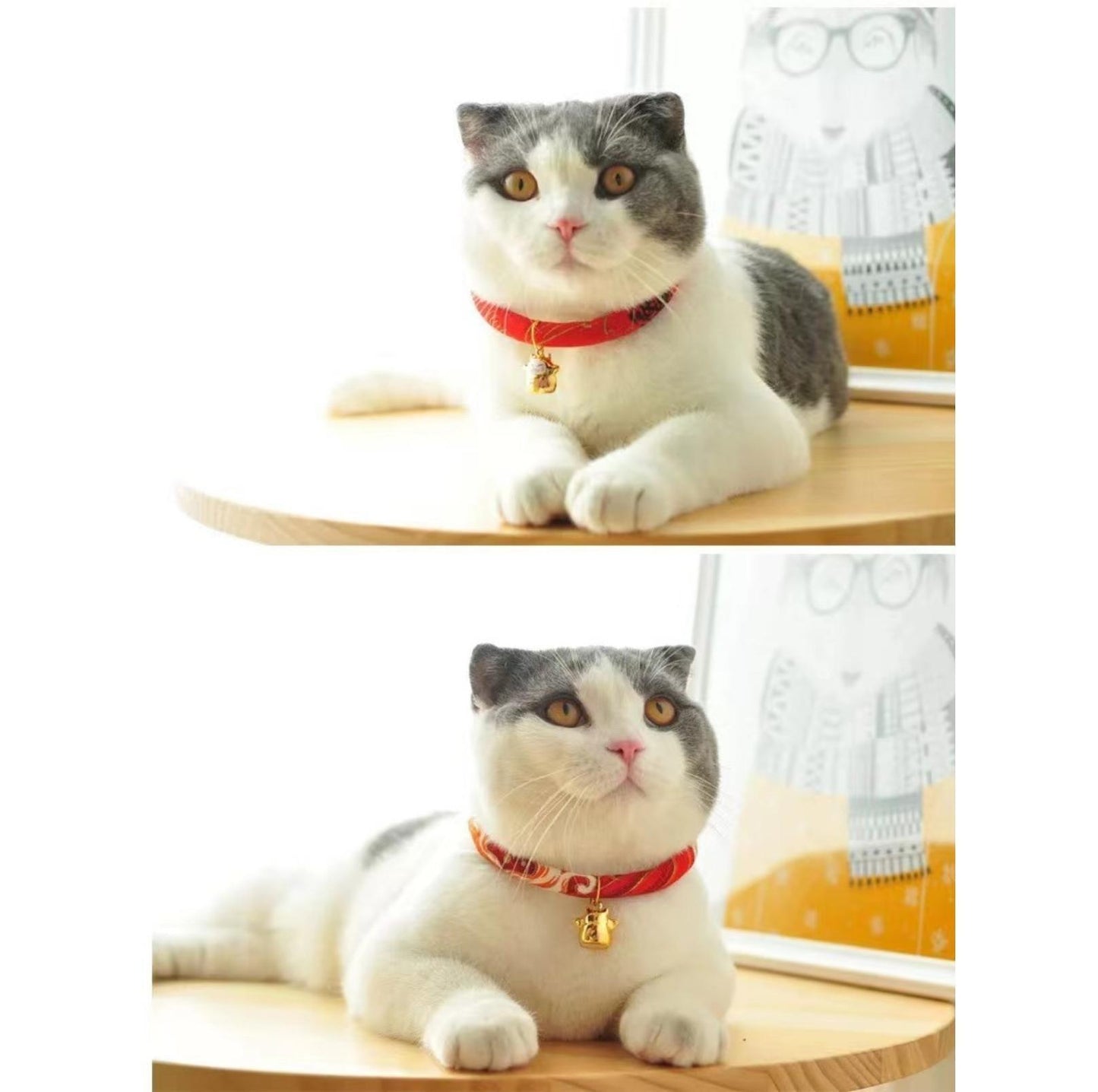 Waves And Flowers Japanese Style Pet Collar - {{product.type}} - PawPawUp