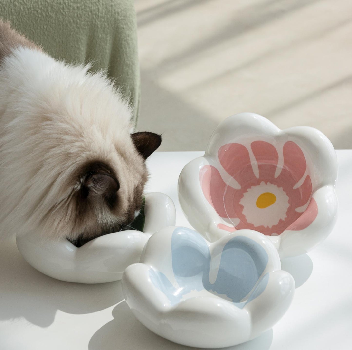 Wulee Petal Shaped Ceramic Antibacterial Pet Cat Bowls Small Dog Bowls - {{product.type}} - PawPawUp