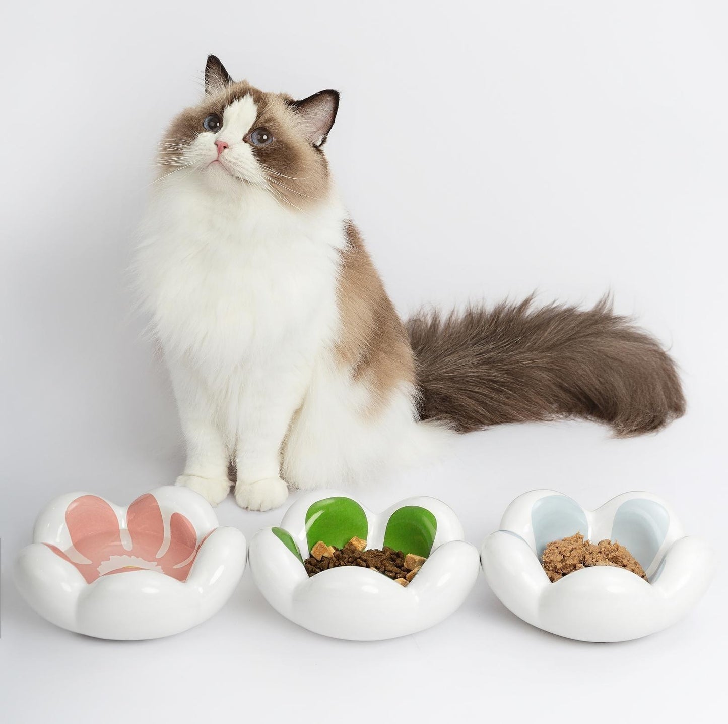 Wulee Petal Shaped Ceramic Antibacterial Pet Cat Bowls Small Dog Bowls - {{product.type}} - PawPawUp